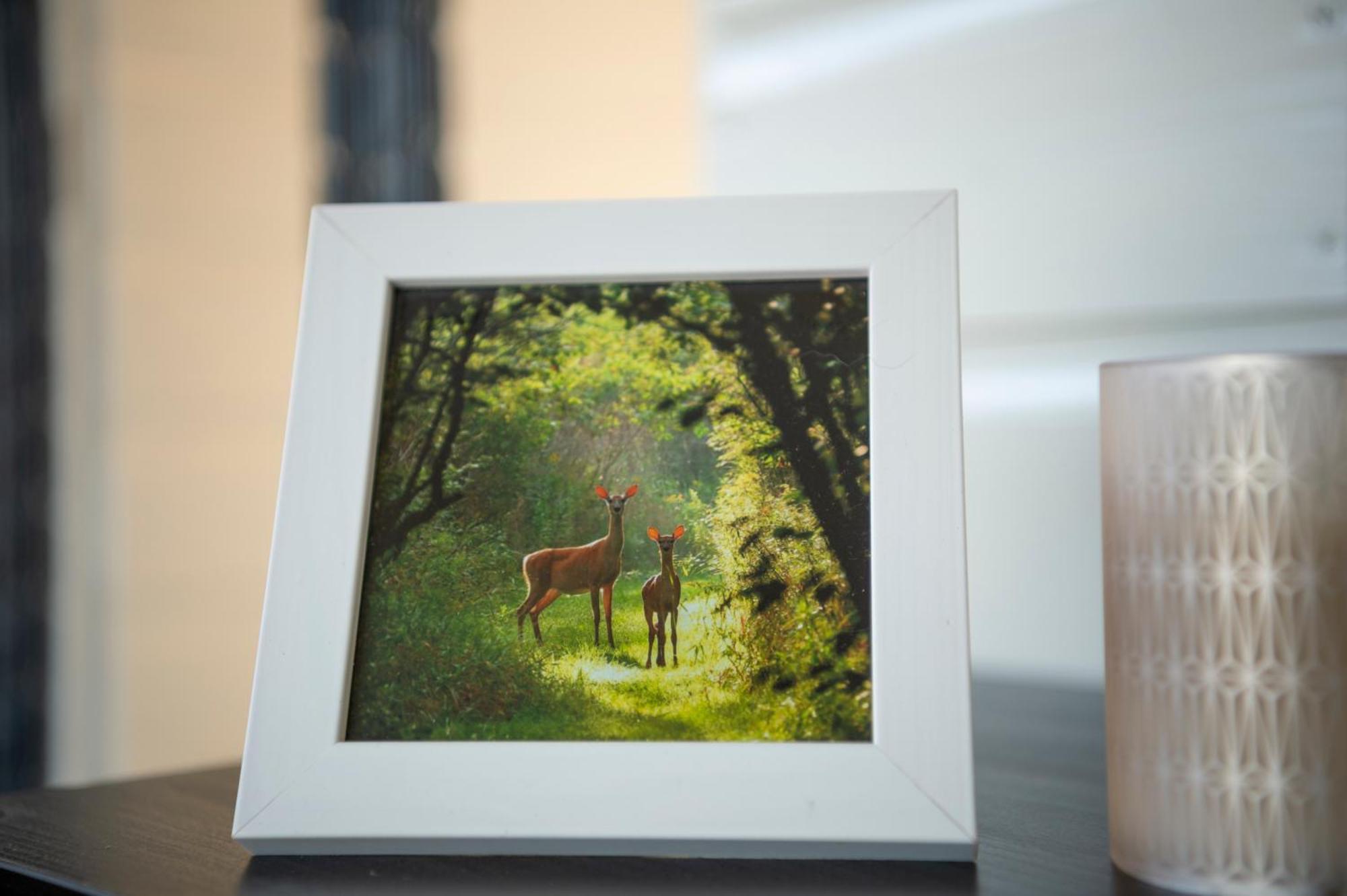 B&B Zeeuws Knoopje เบิร์กฮามสเตเดอ ภายนอก รูปภาพ